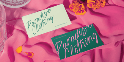 Blynkas Scripte Font Poster 12