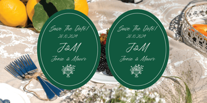 Blynkas Scripte Font Poster 5