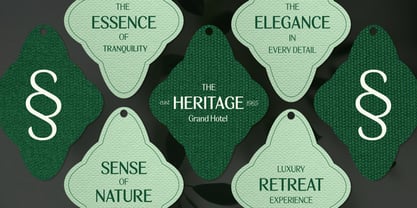 BT Wifting Font Poster 8