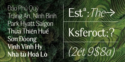 BT Wifting Font Poster 4