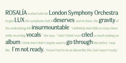 BT Wifting Font Poster 6