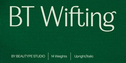 BT Wifting Font Poster 1
