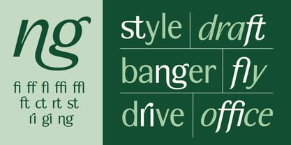 BT Wifting Font Poster 9