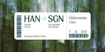 BT Wifting Font Poster 7