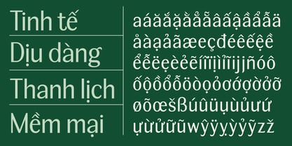 BT Wifting Font Poster 10