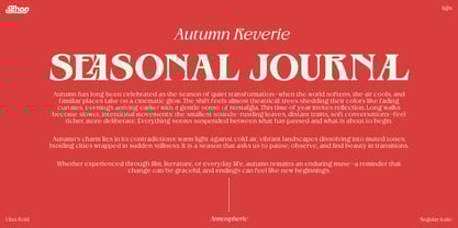 Rocavio Font Poster 11