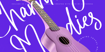 Spectrale Nightfall Font Poster 7