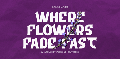 Boldra Font Poster 3