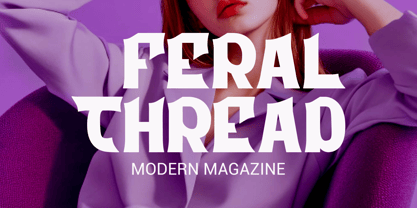 Boldra Font Poster 2