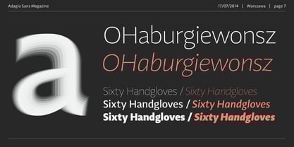 Adagio Sans Font Poster 7