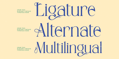 Qeilgera Font Poster 7