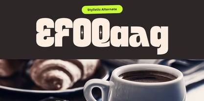 Quinia Retro Font Poster 13