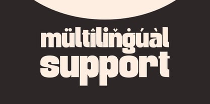 Quinia Retro Font Poster 10