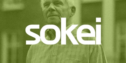 Pixelywave Sans Font Poster 11