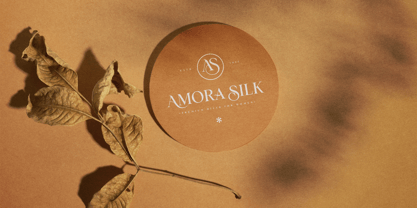 Merona Heavens Font Poster 13