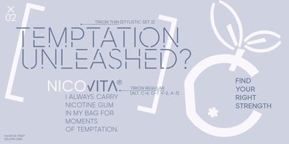 Tirion Font Poster 6