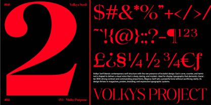 Volkys Serif Font Poster 6