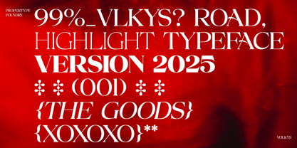 Volkys Serif Font Poster 5