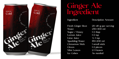 Volkys Serif Font Poster 8