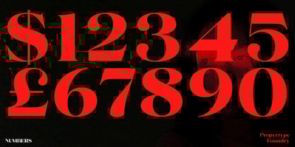 Volkys Serif Font Poster 3