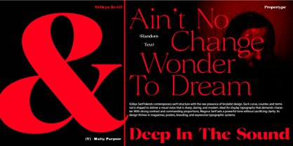 Volkys Serif Font Poster 10