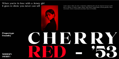 Volkys Serif Font Poster 11