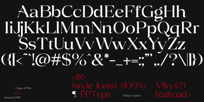 Volkys Serif Font Poster 14