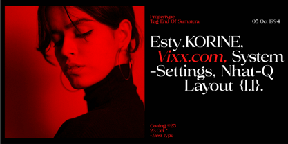 Volkys Serif Font Poster 2