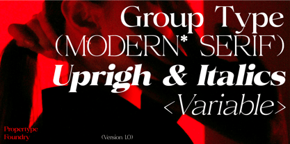 Volkys Serif Font Poster 12