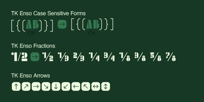 TK Enso Font Poster 5