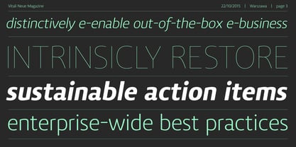 Vitali Neue Font Poster 3