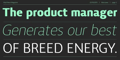 Vitali Neue Font Poster 2