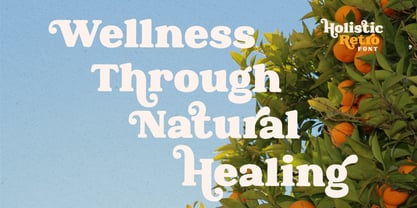 Holistic Retro Font Poster 2