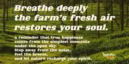 Holistic Retro Font Poster 5