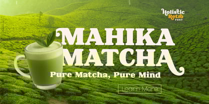 Holistic Retro Font Poster 3