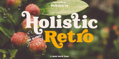 Holistic Retro Font Poster 1