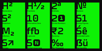 Celdum Font Poster 12