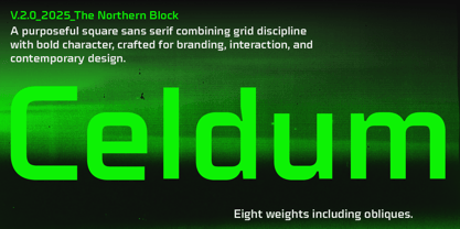Celdum Font Poster 1