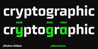 Celdum Font Poster 13