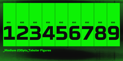 Celdum Font Poster 11