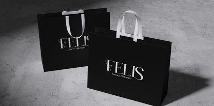 Balenia Font Poster 6