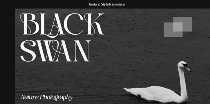 Balenia Font Poster 4