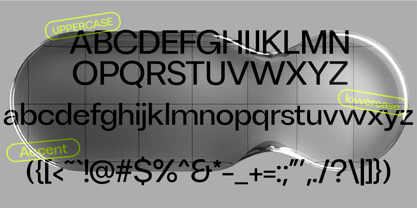 Chairo Sans Regular Font Poster 6