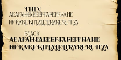 Lavache Font Poster 5