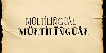 Lavache Font Poster 6