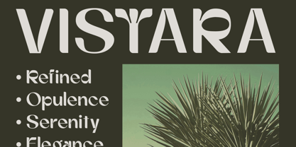 Rorane Font Poster 2