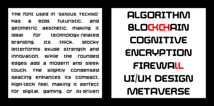 Genius Techno Font Poster 4
