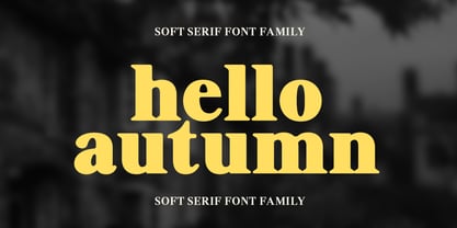 Shequan Soft Font Poster 11