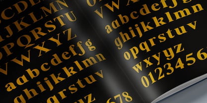 Shequan Soft Font Poster 9