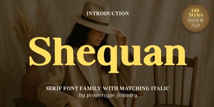 Shequan Soft Font Poster 1